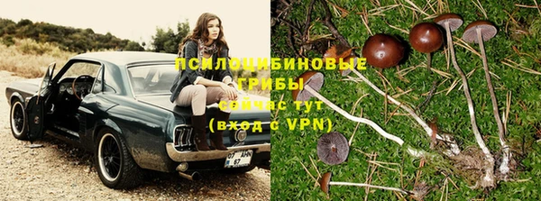 гидропоника Абдулино