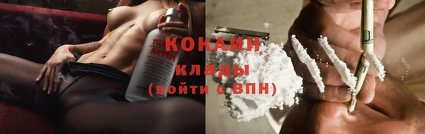 индика Абинск