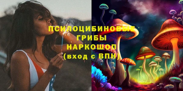 индика Абинск