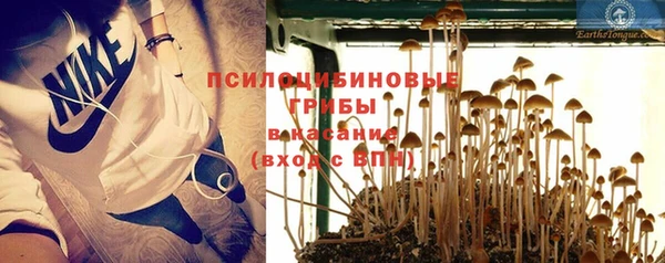 индика Абинск