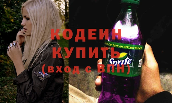 индика Абинск