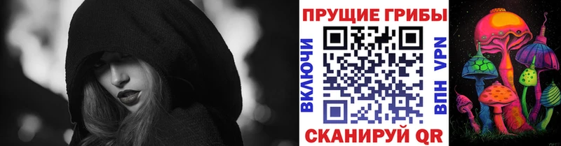 Псилоцибиновые грибы Psilocybe  Трубчевск 